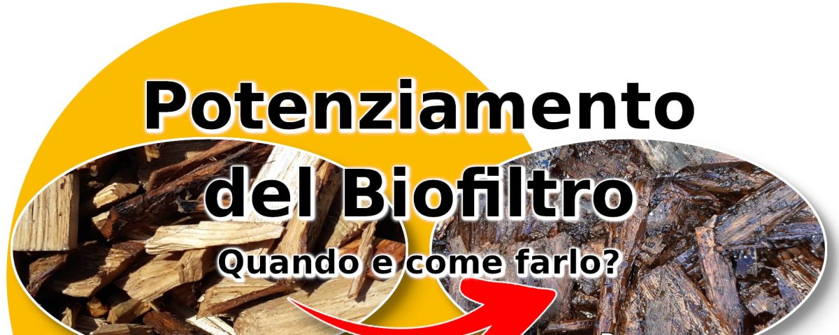 Biofiltro - come potenziarlo