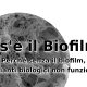 Biofilm negli impianti biologici