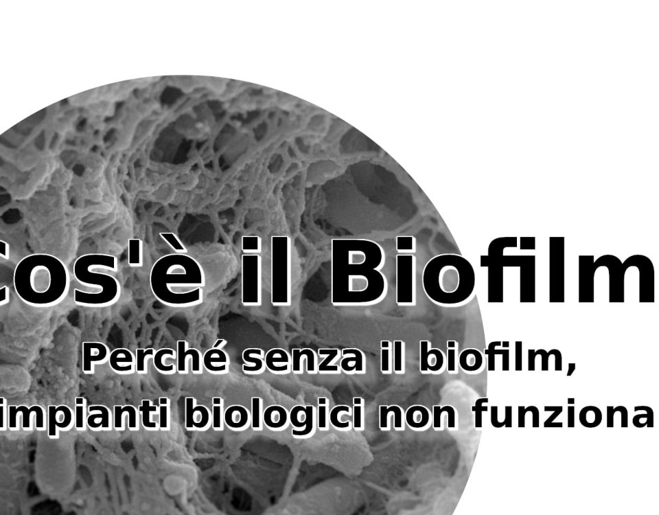 Biofilm negli impianti biologici